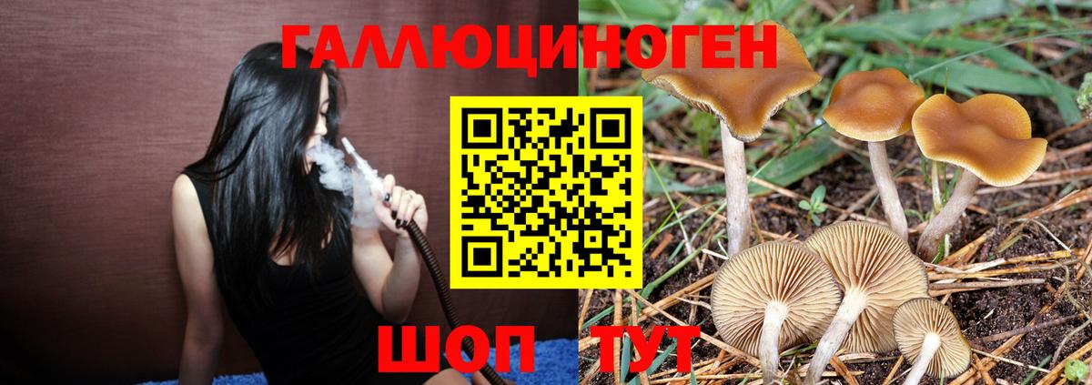 Псилоцибиновые грибы GOLDEN TEACHER  Вход с VPN  Ефремов 