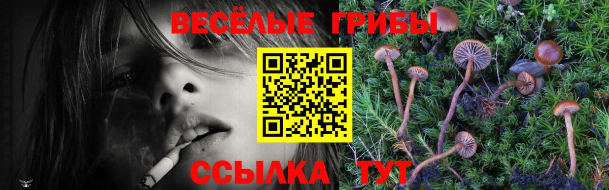 Псилоцибиновые грибы Magic Shrooms Ефремов