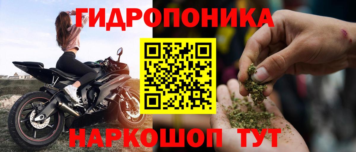 Ефремов  Марихуана OG Kush  Бошки марихуана план  Конопля ГИДРОПОН  Вход с VPN  Каннабис MAZAR 